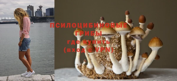 герыч Арсеньев