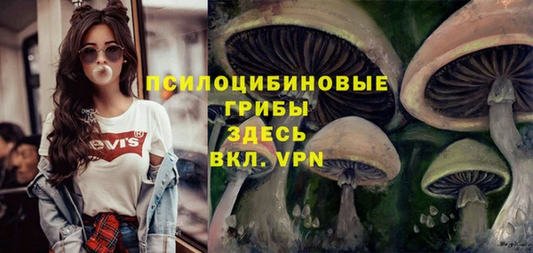 герыч Арсеньев